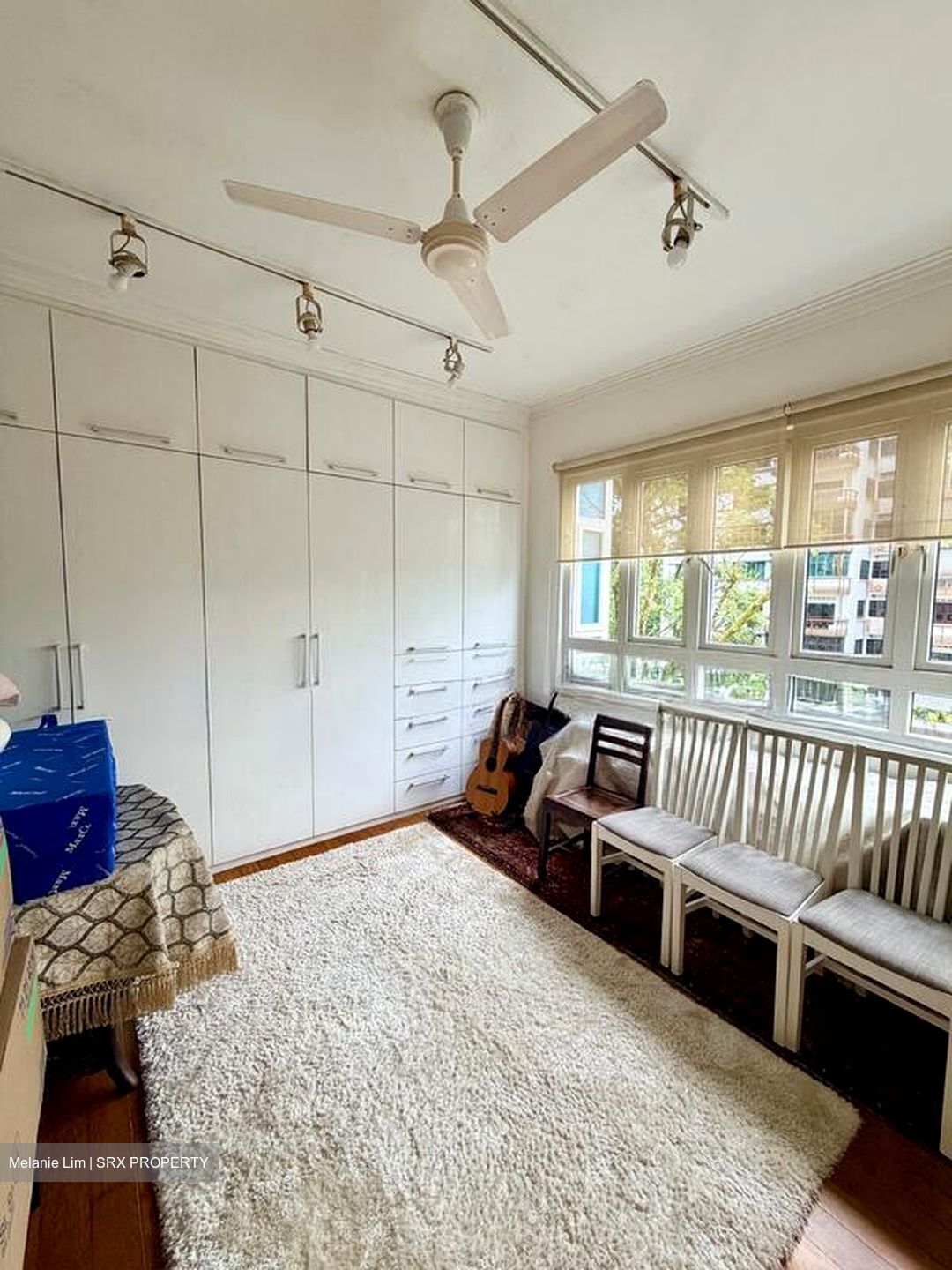 Botanic Gardens View (D10), Apartment #497947071
